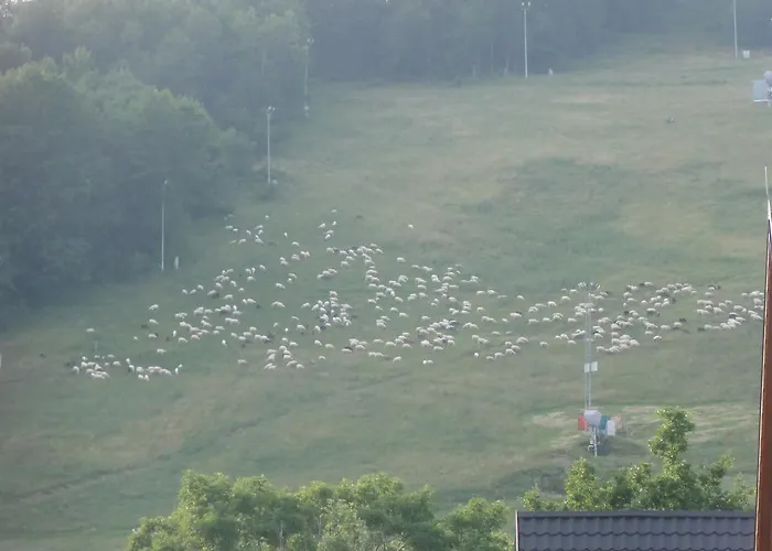 Anielci 扎科帕内